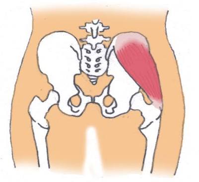 中臀筋を鍛えて歩行を安定